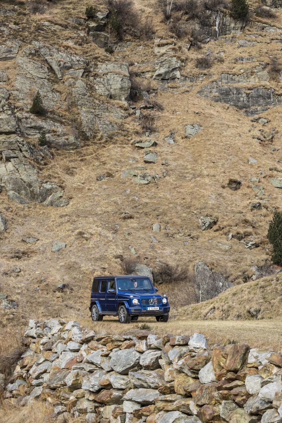  Mercedes-Benz G350 d (W463) 2019 года  (WW) (фото 21 из 41)